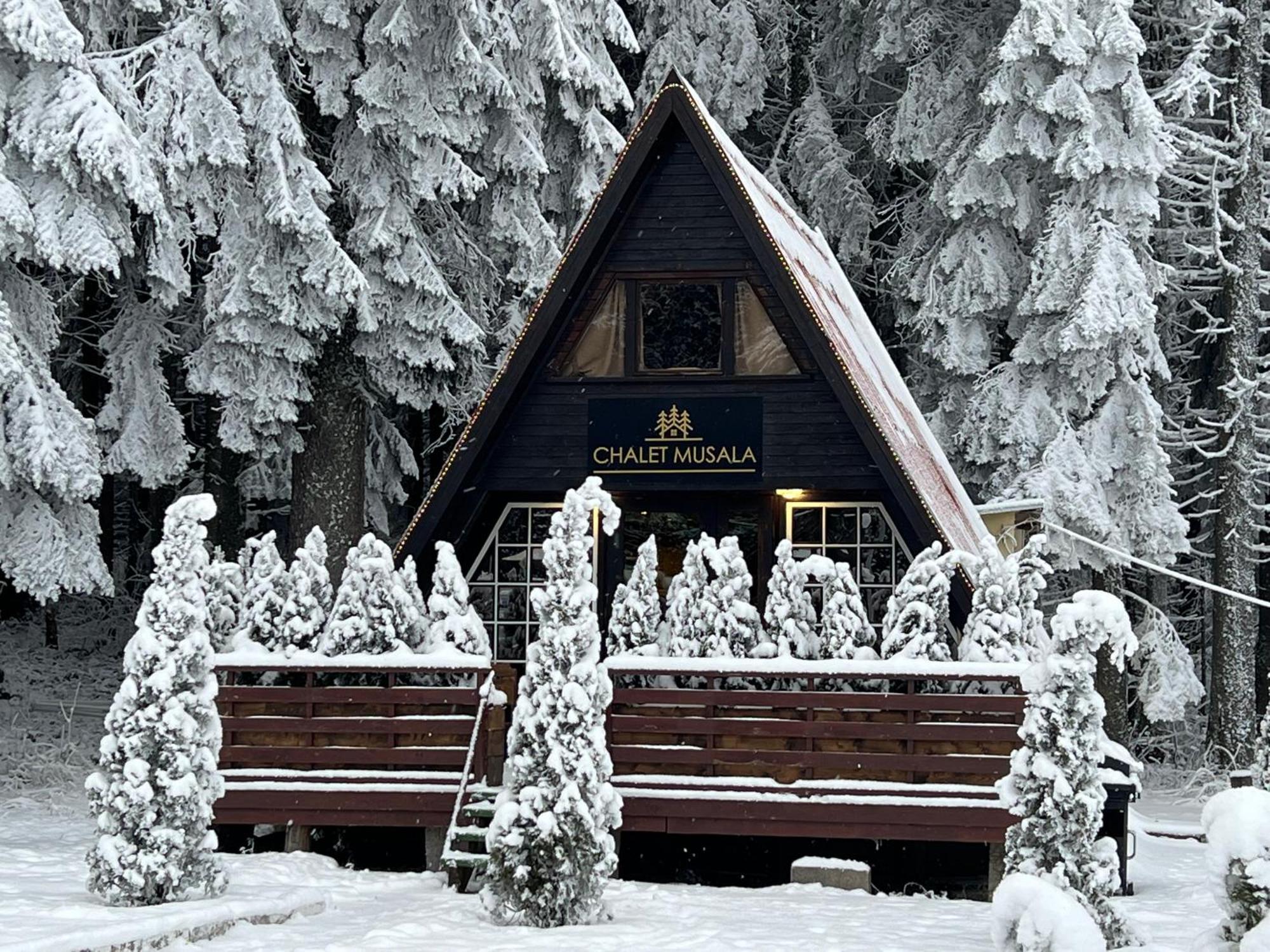 Villas Mura With Spa & Hot Swimming Pool Боровец Екстериор снимка